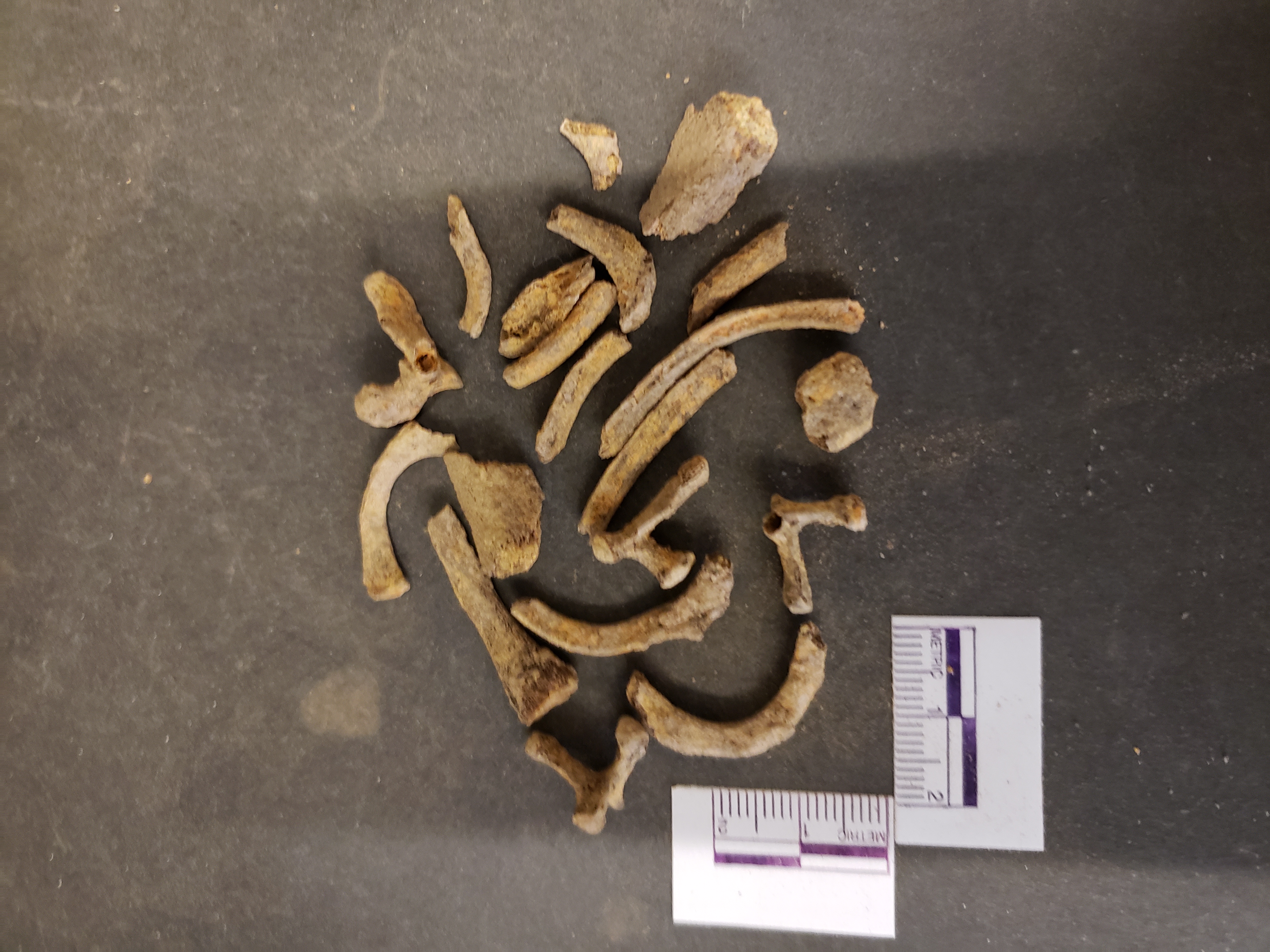 Contents of RU-026-024 bag