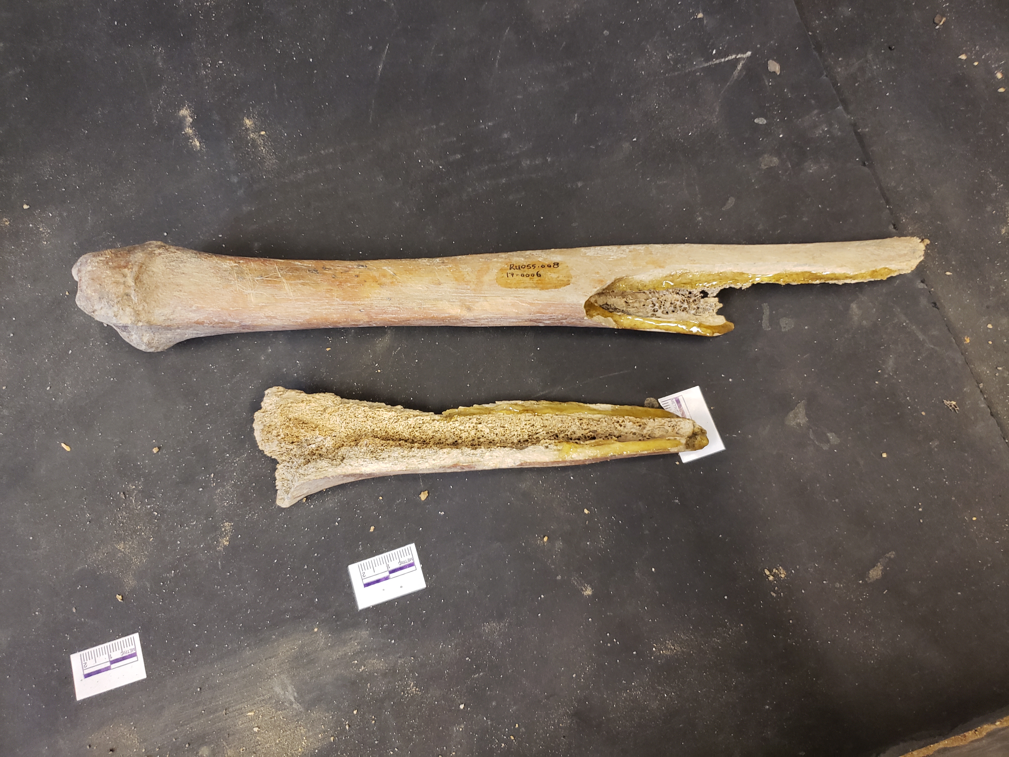 Fragments side by side