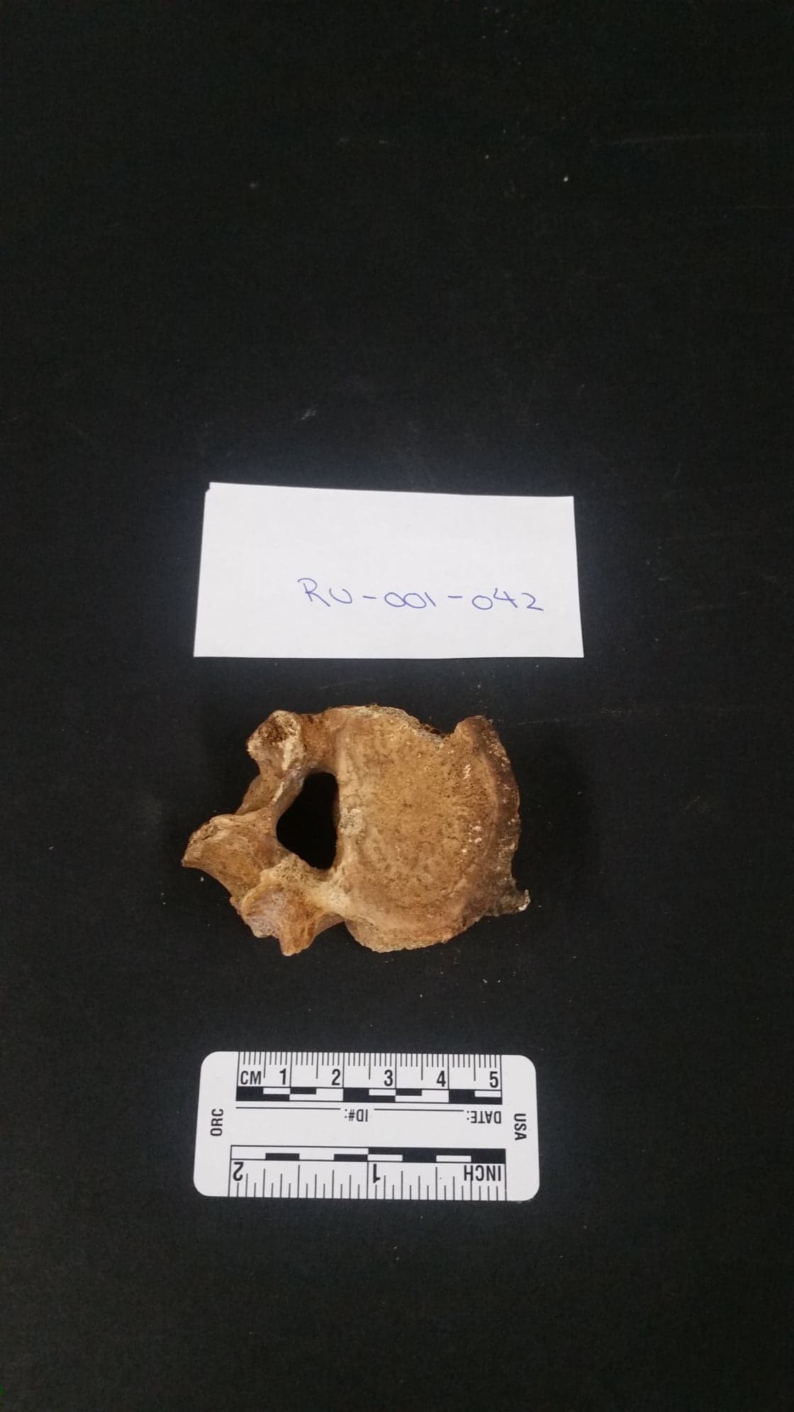 RU-001-042 RU-001-042
