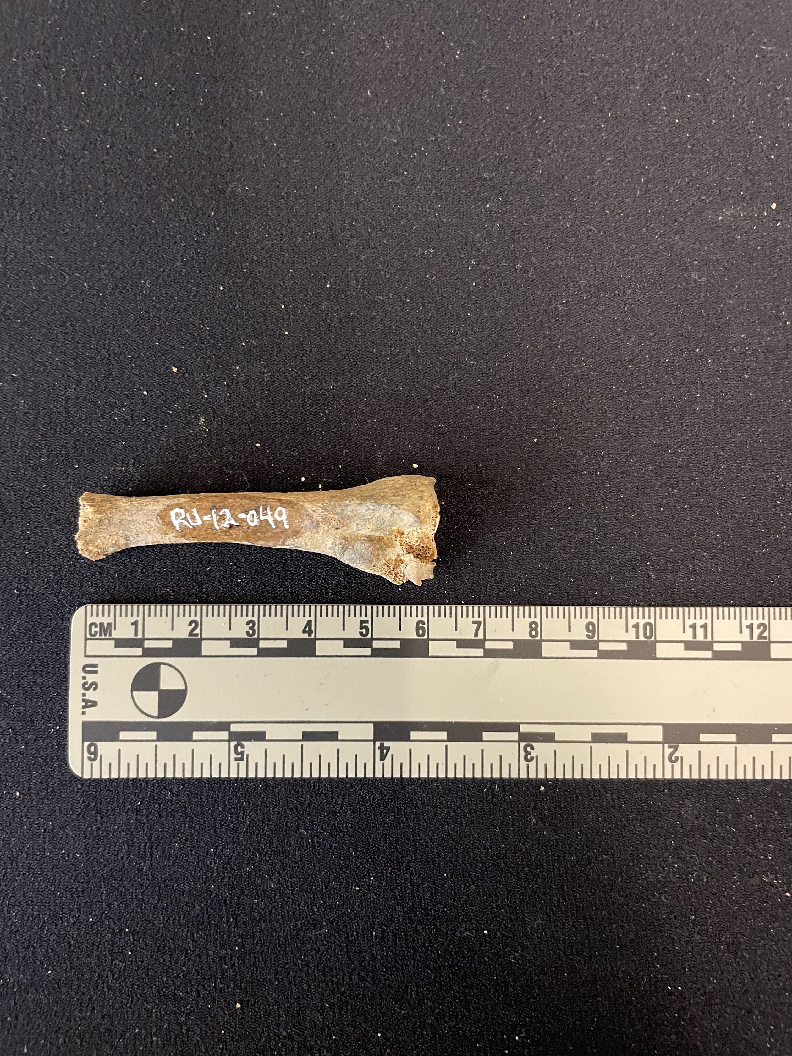 RU-012-049 Metatarsal