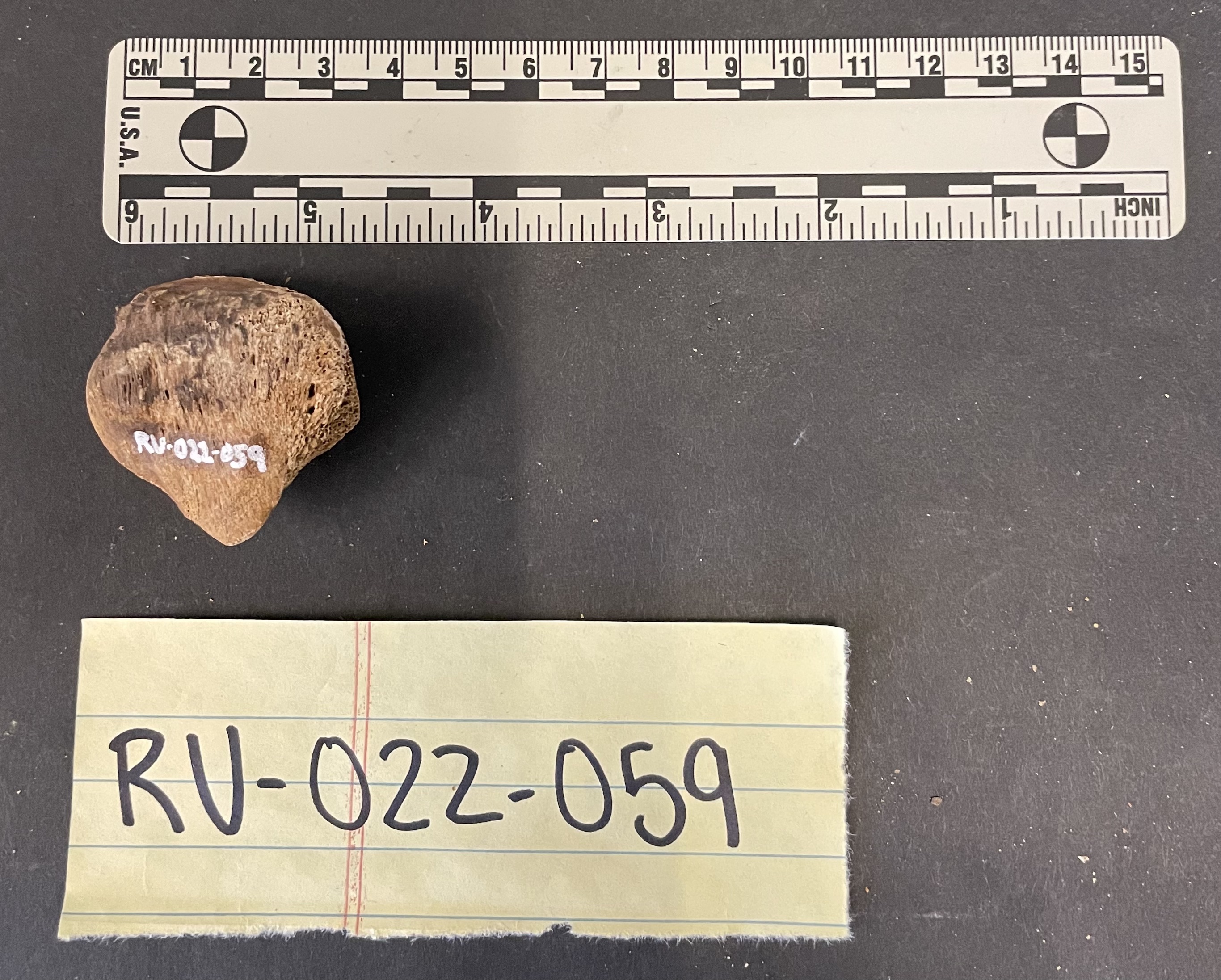 RU-022-059 patella