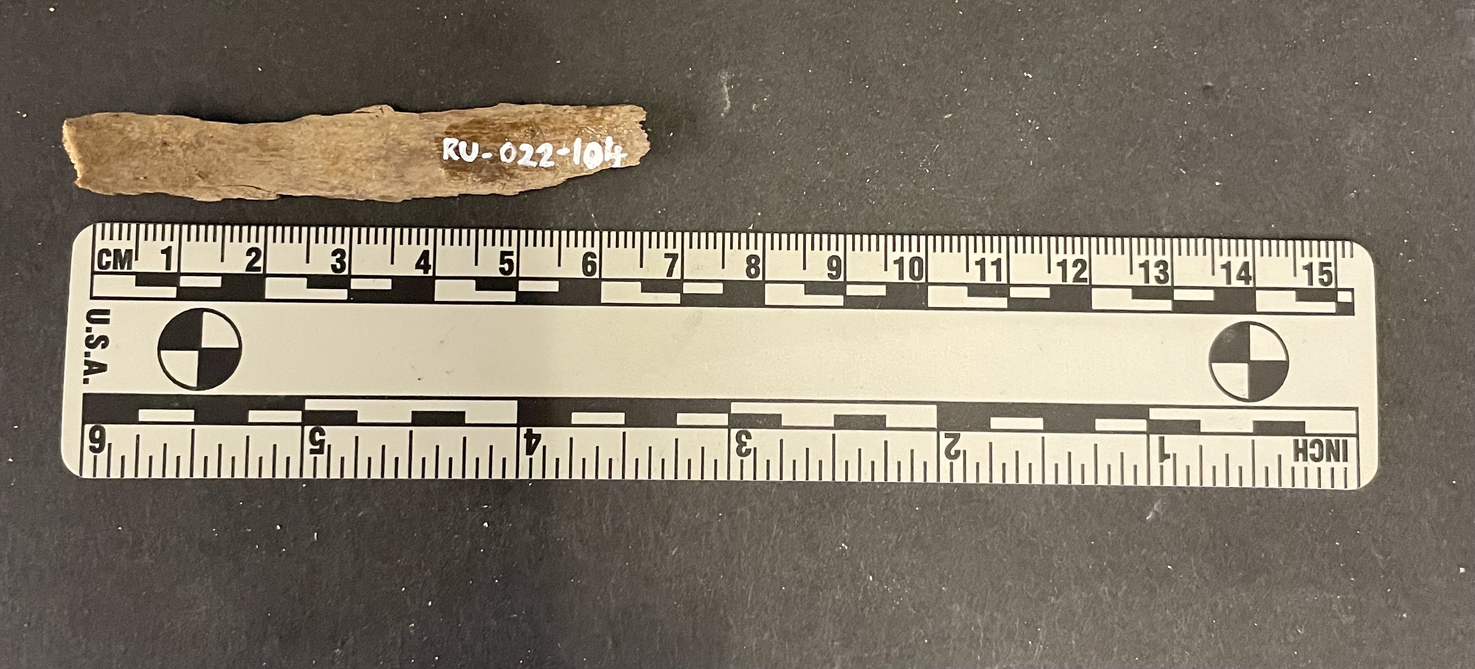 RU-022-104 RIb fragment