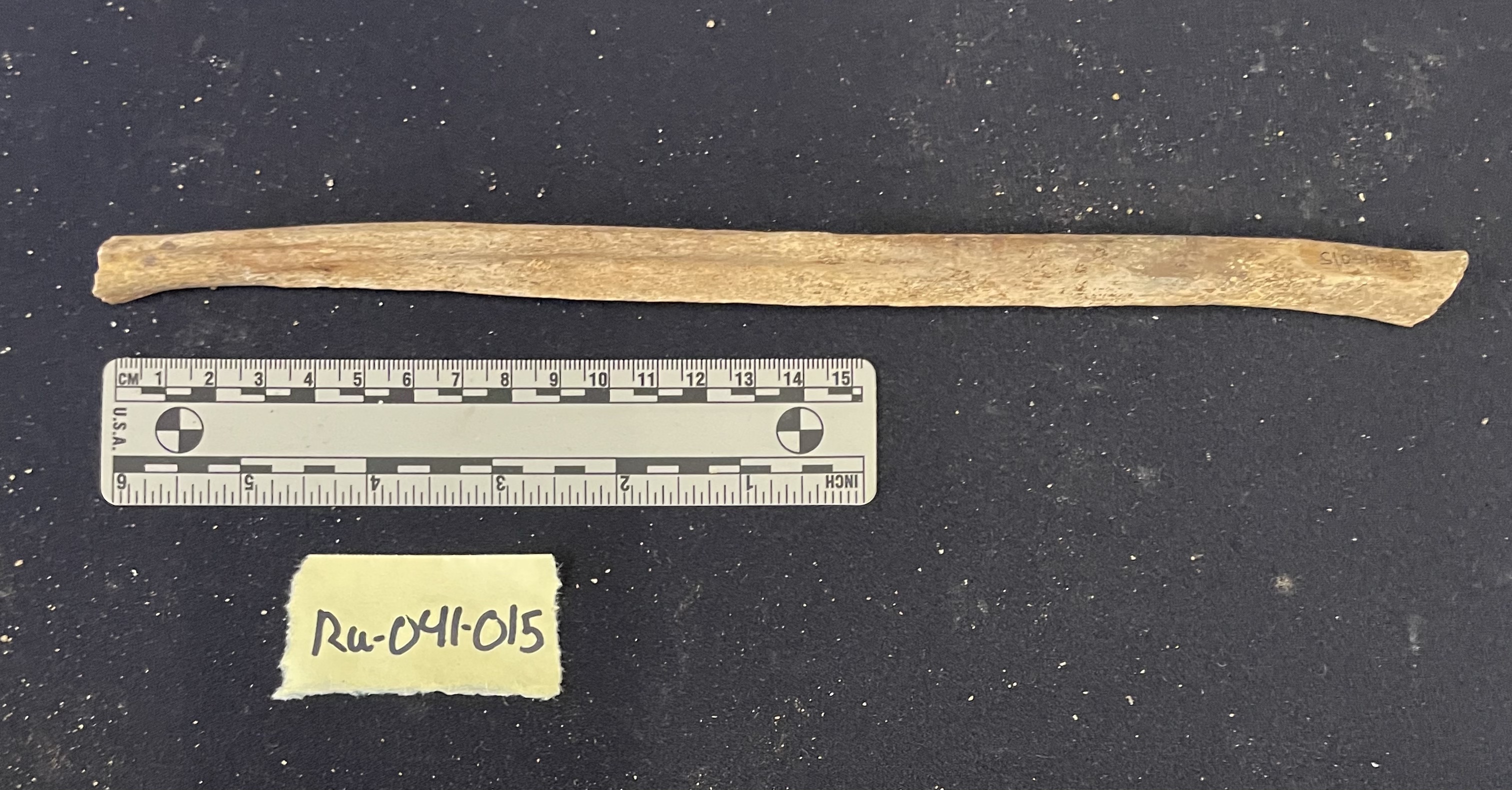RU-041-015 Left fibula