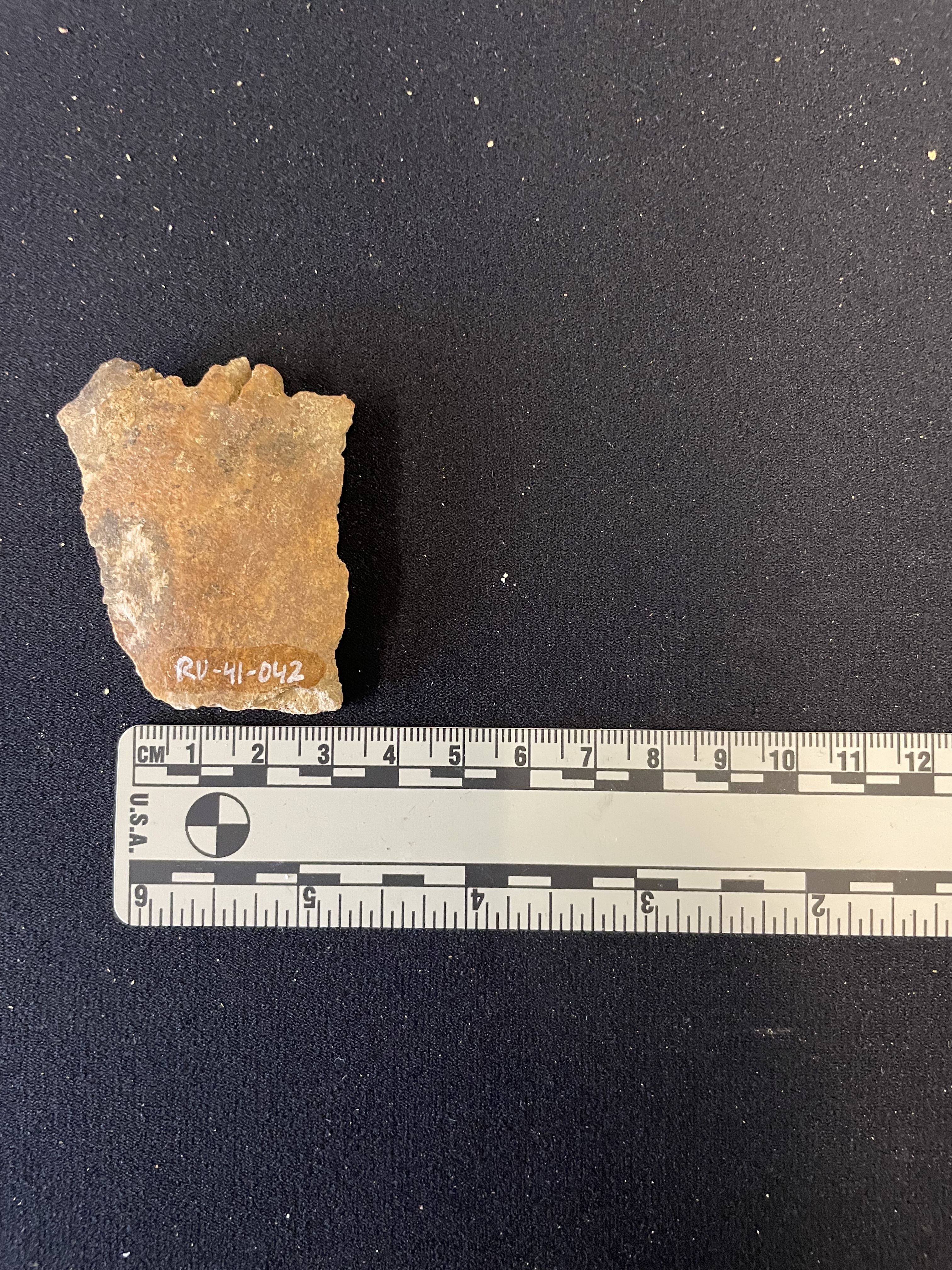 RU-041-042 Cranial fragment